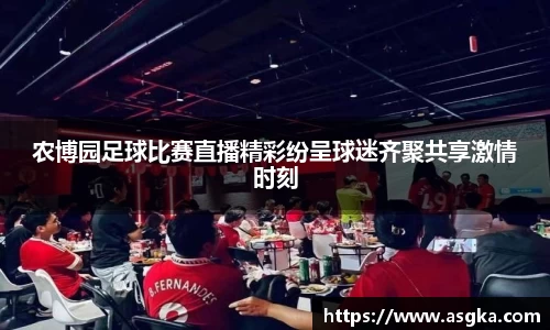 农博园足球比赛直播精彩纷呈球迷齐聚共享激情时刻