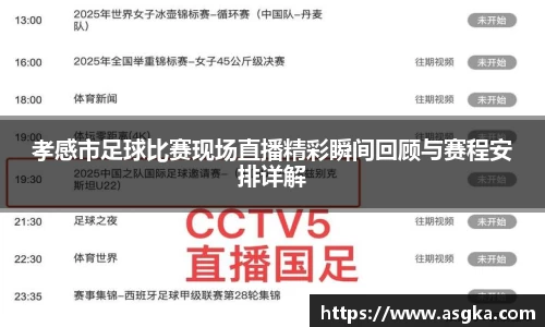 孝感市足球比赛现场直播精彩瞬间回顾与赛程安排详解