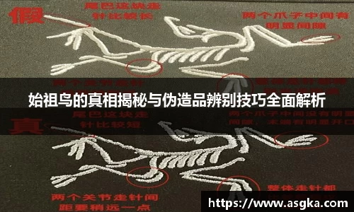 始祖鸟的真相揭秘与伪造品辨别技巧全面解析